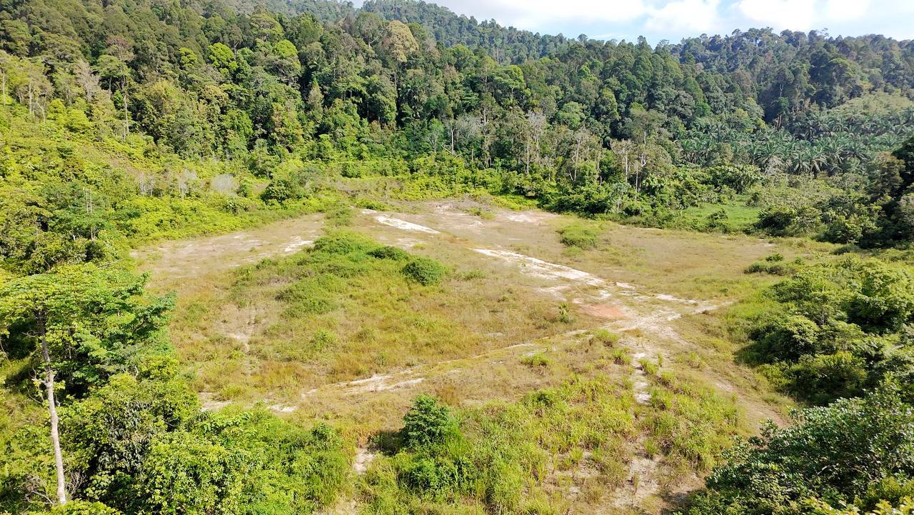 19 Tanah Lot di Paman, Chukai Untuk Dijual